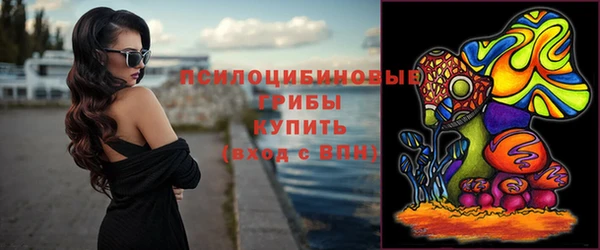 МДПВ Зеленокумск