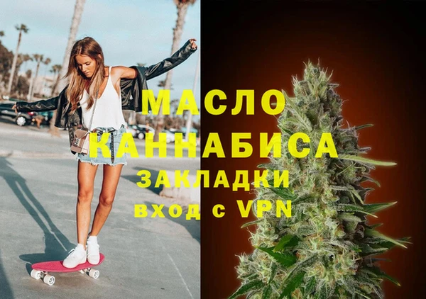 амф Тайга