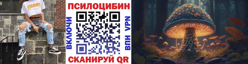 Купить где  Лесной  Псилоцибиновые грибы мухоморы 